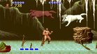 Images et photos Altered Beast