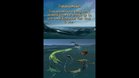 Images et photos Sea Monsters : A Prehistoric Adventure